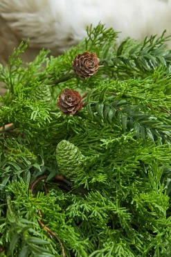 Decorator's Warehouse Christmas Teardrops^32” Christmas Cedar/Hemlock Swag