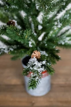 Decorator's Warehouse Christmas Accents^24” Farmhouse Potted Snowy Pine Tree