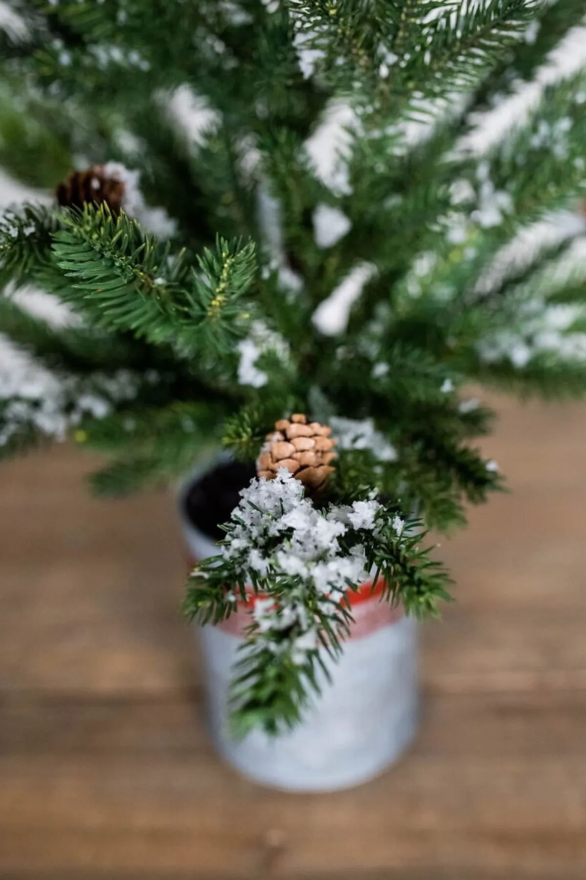 Decorator's Warehouse Christmas Accents^24” Farmhouse Potted Snowy Pine Tree