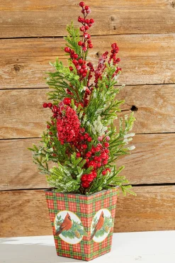Decorator's Warehouse Christmas Accents^26" Frost Weatherproof Berry Mini Spruce Tree In Pot
