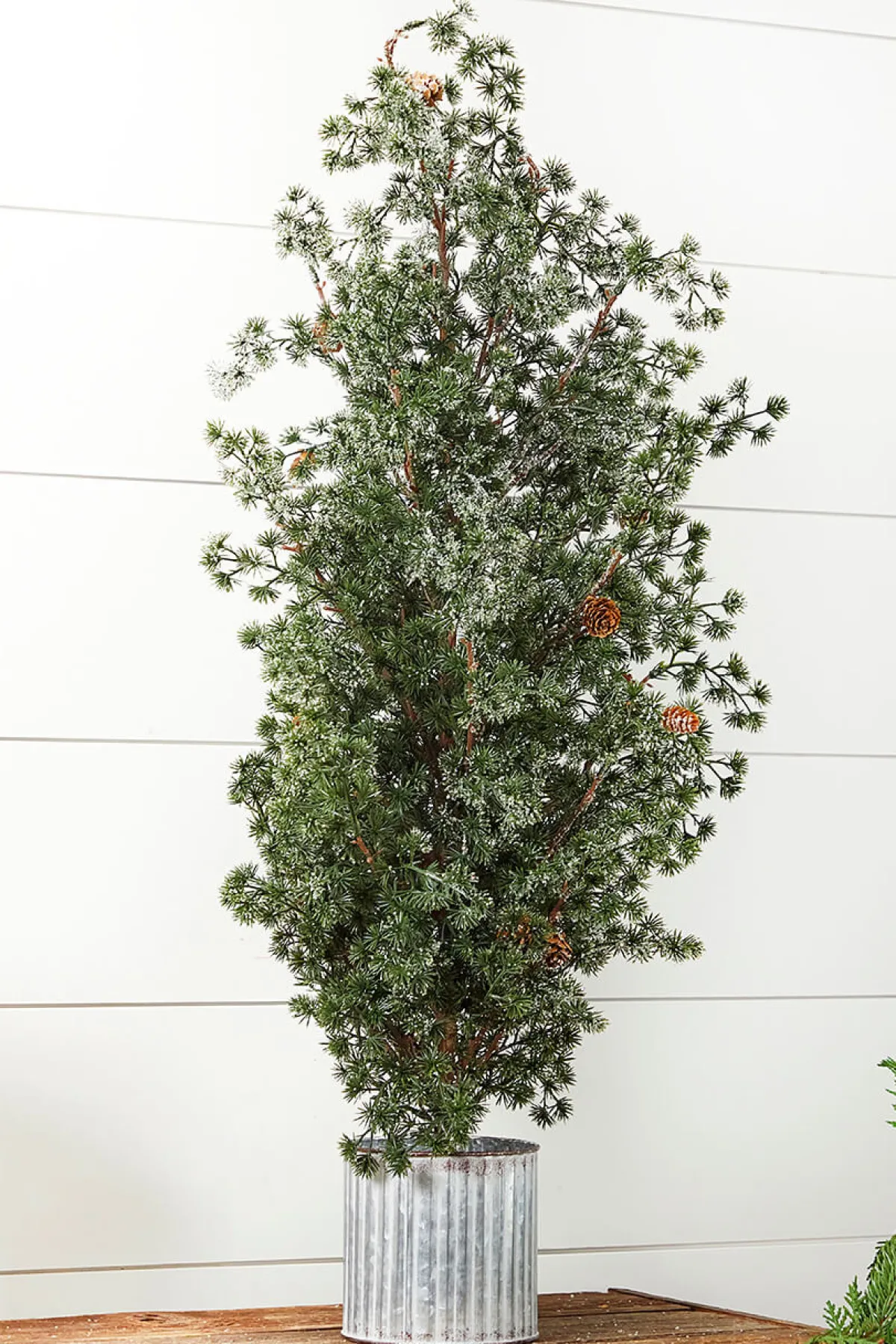 Decorator's Warehouse Christmas Accents^36” Frosted Potted Pine