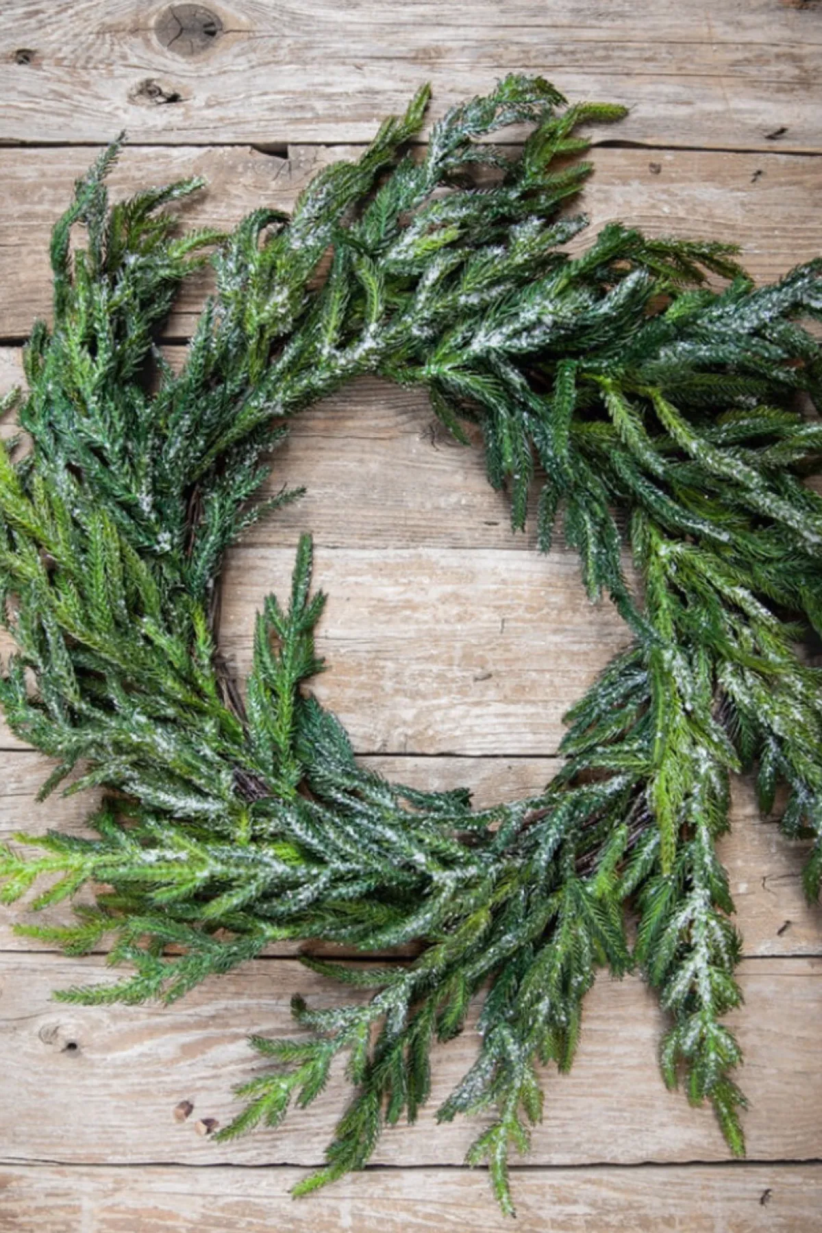 Decorator's Warehouse Christmas Wreaths|Natural Greenery^24” Iced Garden Norfolk Pine Wreath