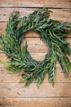 Decorator's Warehouse Christmas Wreaths|Natural Greenery^24” Iced Garden Norfolk Pine Wreath