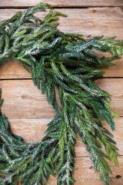 Decorator's Warehouse Christmas Wreaths|Natural Greenery^24” Iced Garden Norfolk Pine Wreath