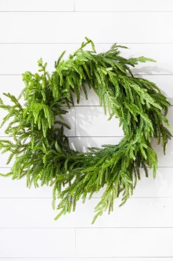 Decorator's Warehouse Christmas Wreaths|Natural Greenery^24” Just Cut Norfolk Pine Wreath