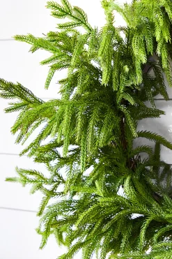 Decorator's Warehouse Christmas Wreaths|Natural Greenery^24” Just Cut Norfolk Pine Wreath