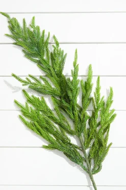 Decorator's Warehouse Natural Greenery^38” Natural Touch Norfolk Pine Christmas Spray