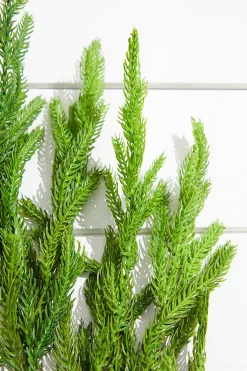 Decorator's Warehouse Natural Greenery^38” Natural Touch Norfolk Pine Christmas Spray