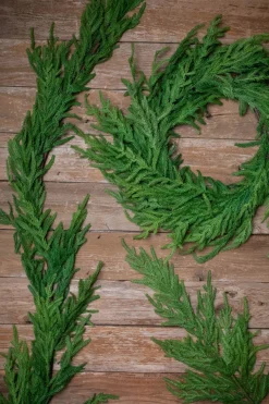 Decorator's Warehouse Natural Greenery^38” Natural Touch Norfolk Pine Christmas Spray
