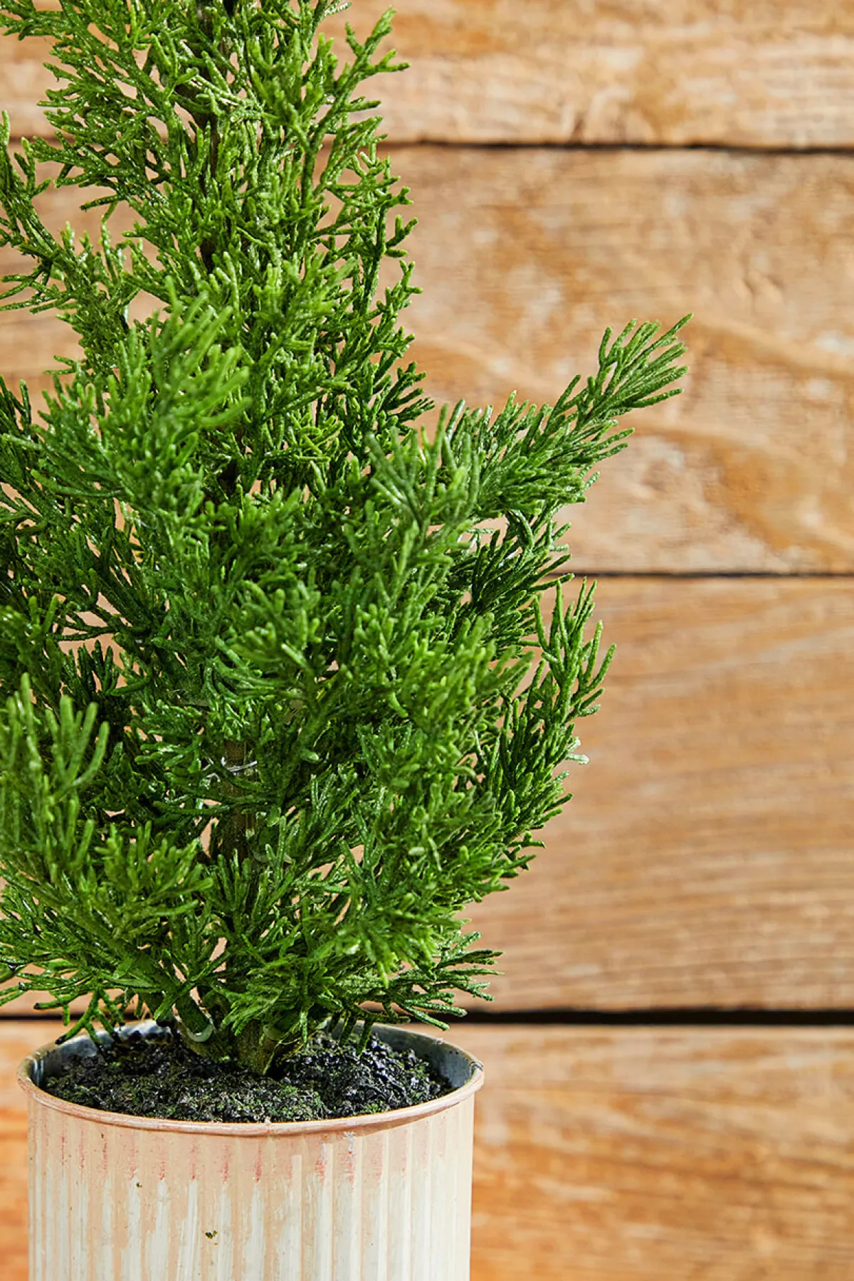 Decorator's Warehouse Christmas Accents^18" Plastic Cypress Tree In Tin Pot