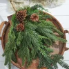 Decorator's Warehouse Natural Greenery^24” Real Touch Cedar Spruce Cone Teardrop