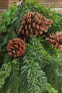 Decorator's Warehouse Natural Greenery^24” Real Touch Cedar Spruce Cone Teardrop