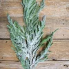 Decorator's Warehouse Natural Greenery^38” Real Touch Flocked Norfolk Spray