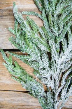 Decorator's Warehouse Natural Greenery^38” Real Touch Flocked Norfolk Spray