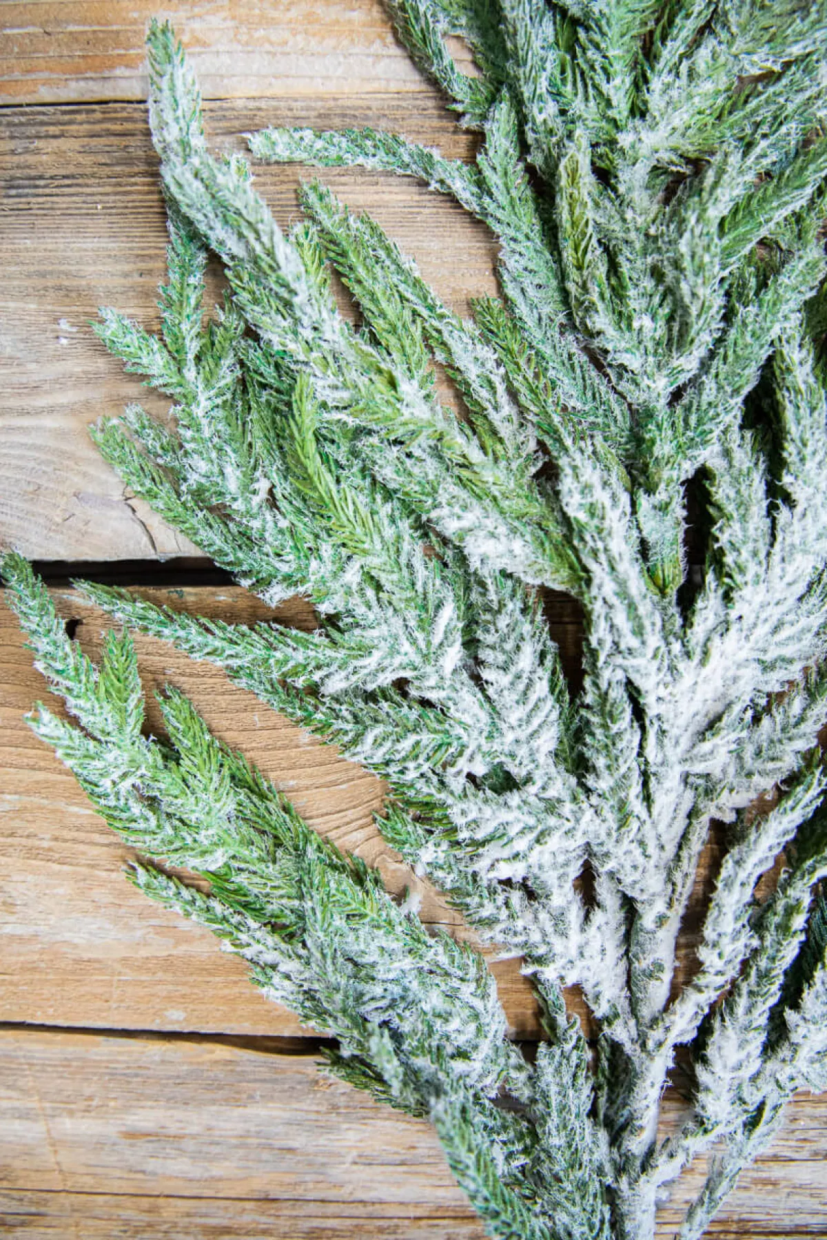 Decorator's Warehouse Natural Greenery^38” Real Touch Flocked Norfolk Spray