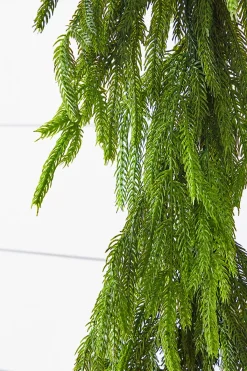 Decorator's Warehouse Christmas Garlands|Natural Greenery^72” Real Touch Norfolk Pine Garland