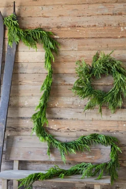 Decorator's Warehouse Christmas Garlands|Natural Greenery^192” Real Touch Norfolk Pine Garland