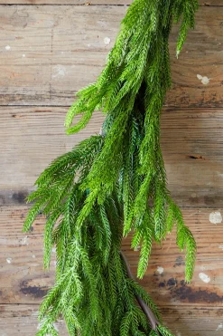 Decorator's Warehouse Christmas Garlands|Natural Greenery^192” Real Touch Norfolk Pine Garland