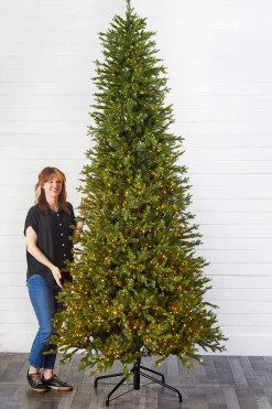 Decorator's Warehouse Christmas Trees|Christmas Trees^10' Slim Southern Fir With 2000 3mm Lights
