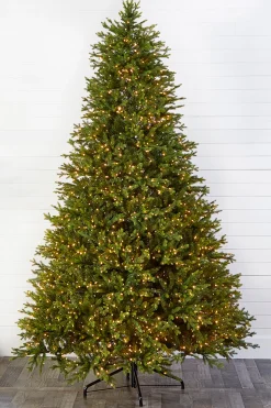 Decorator's Warehouse Christmas Trees|Christmas Trees^10' Southern Fir With 3000 3mm Lights