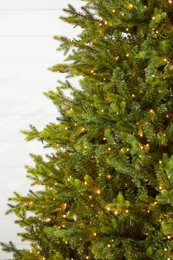 Decorator's Warehouse Christmas Trees|Christmas Trees^10' Southern Fir With 3000 3mm Lights