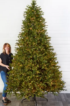 Decorator's Warehouse Christmas Trees|Christmas Trees^10' Southern Fir With 3000 3mm Lights