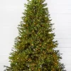 Decorator's Warehouse Christmas Trees|Christmas Trees^7.5' Southern Fir With 1400 3mm Lights