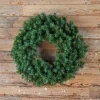 Decorator's Warehouse Wreaths|Christmas Wreaths^36” Unlit Norway Pine Wreath