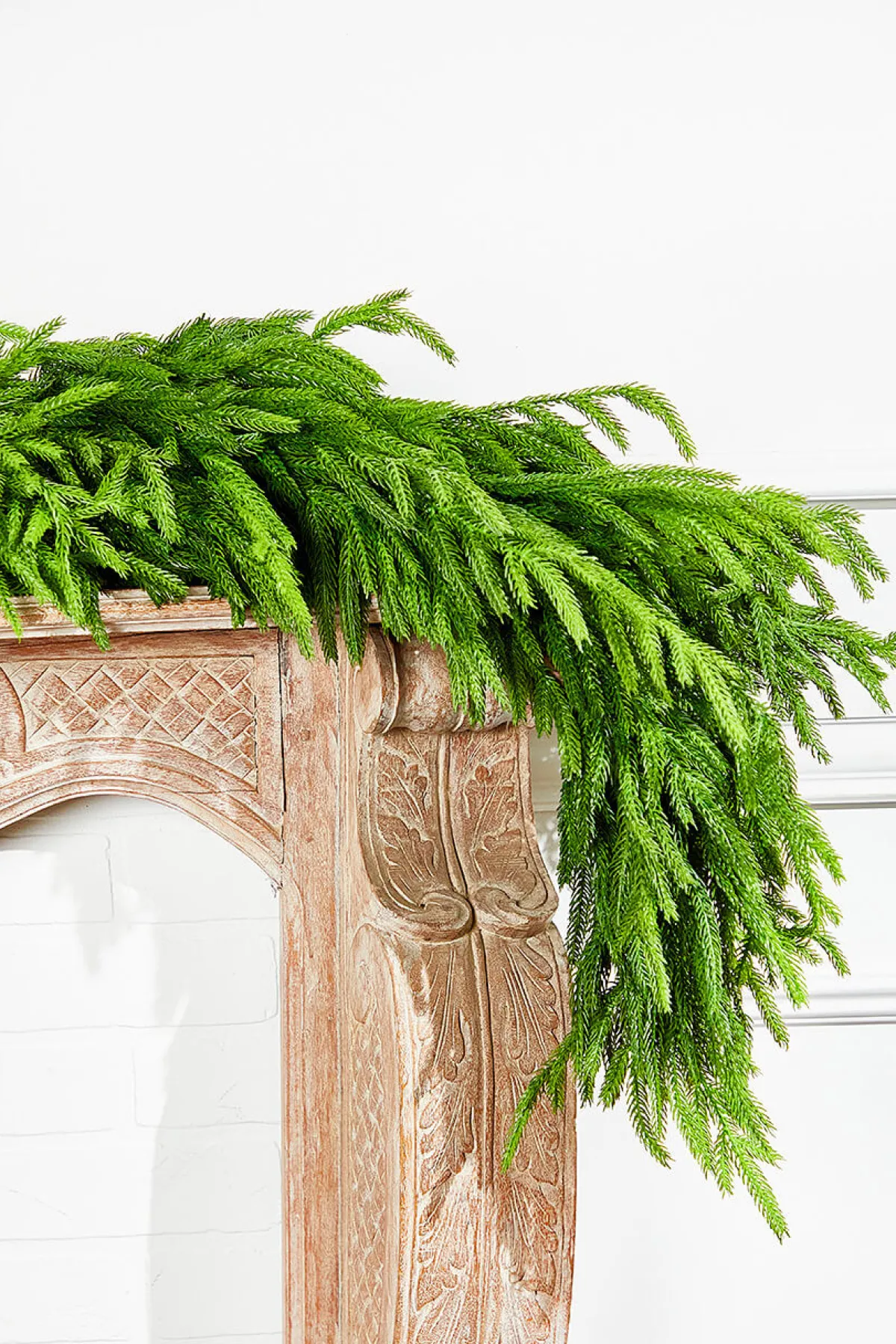Decorator's Warehouse Christmas Garlands|Natural Greenery^60" X 16" Real Touch Deluxe Norfolk Pine Garland