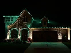 Decorator's Warehouse Bulbs|Outdoor Lighting^C9 Platinum Elite LED SMD Bulb (25 Bulbs/bag) - Faceted, Green