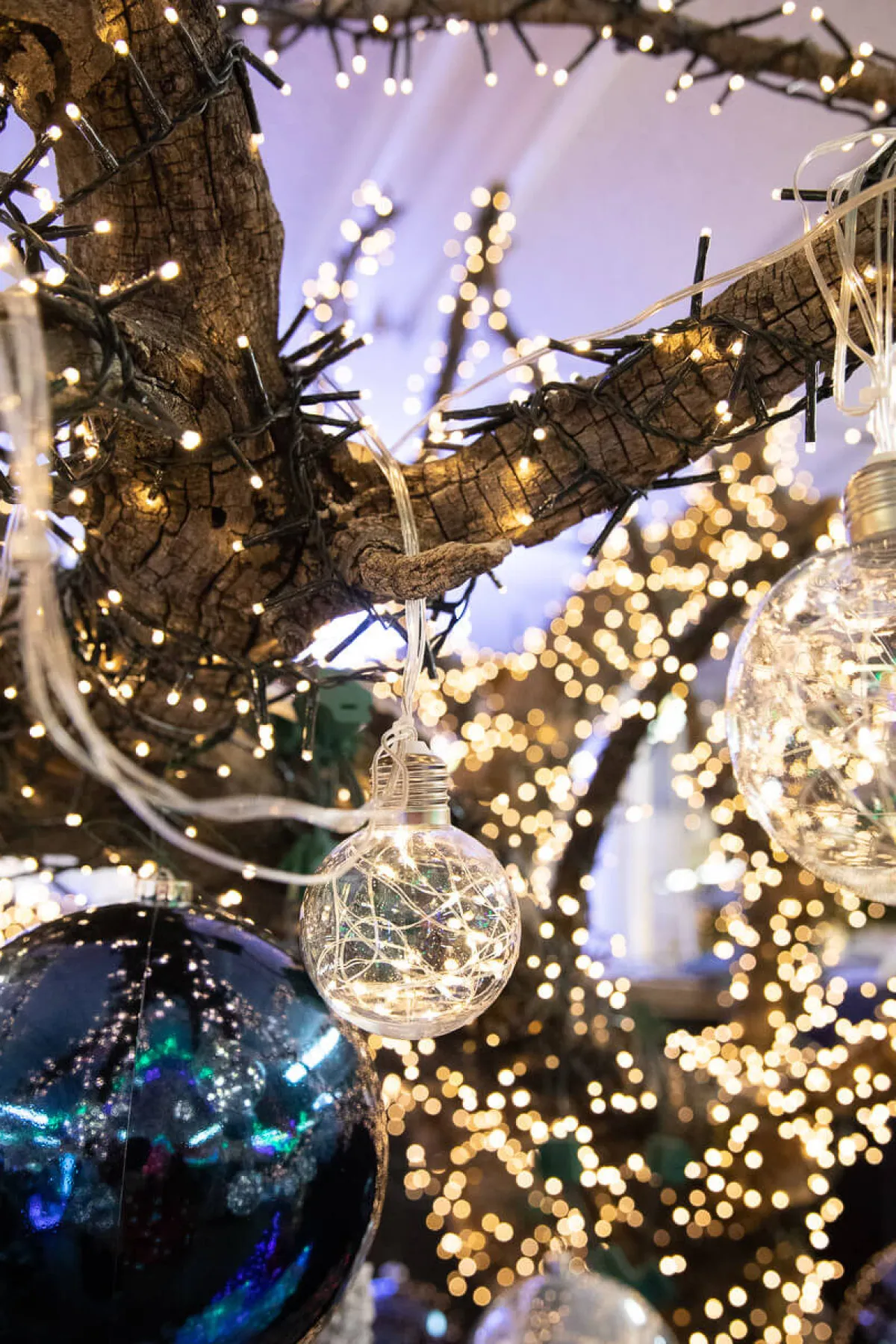 Decorator's Warehouse Orb Lights|Indoor Lighting^LED String Lights With Clear Balls - 4” Orbs