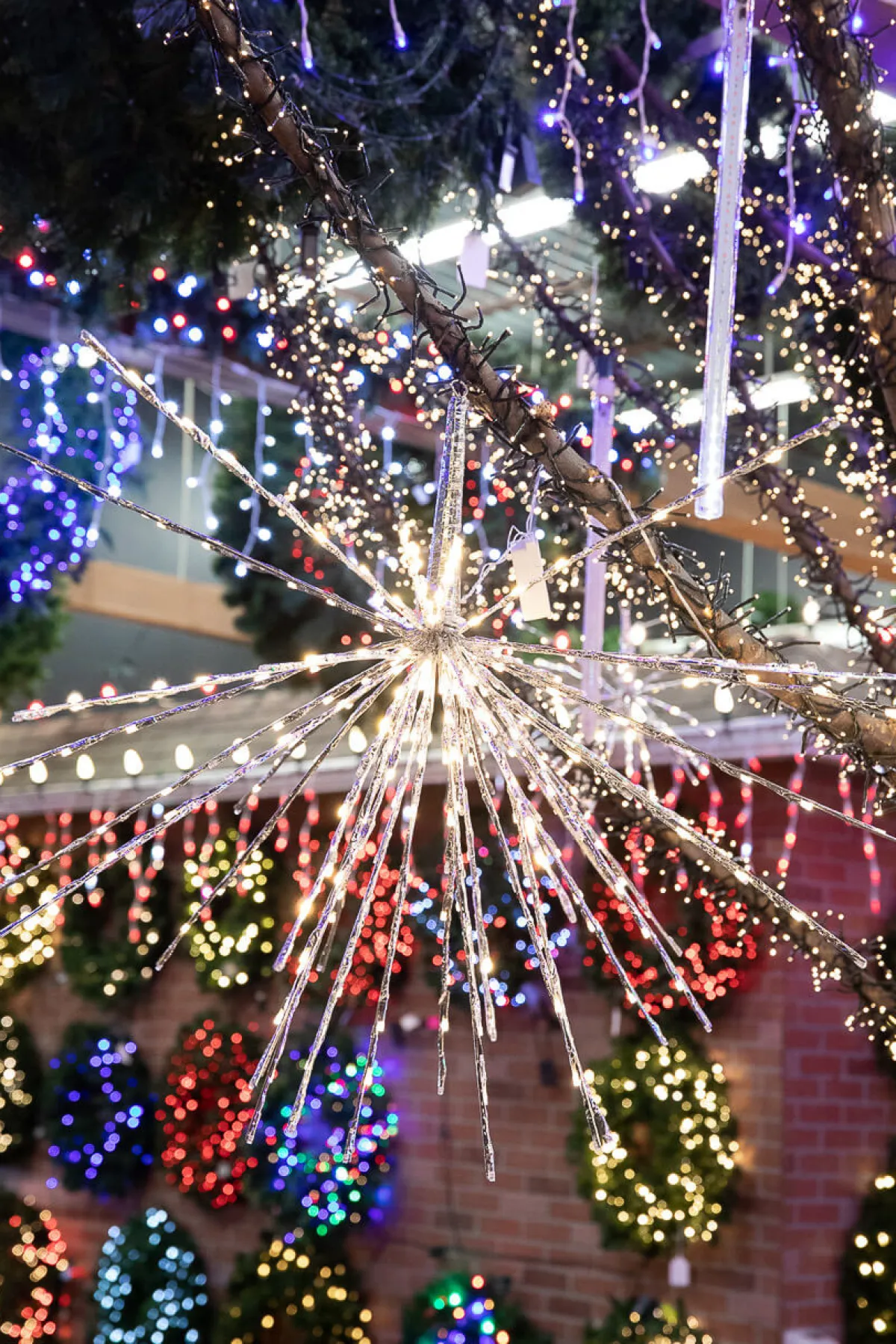 Decorator's Warehouse Twinkle Lights|Indoor Lighting^LED Umbrella Display - 180L