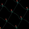 Decorator's Warehouse Outdoor Lighting^Net Red- 5mm 100L 4'x6'